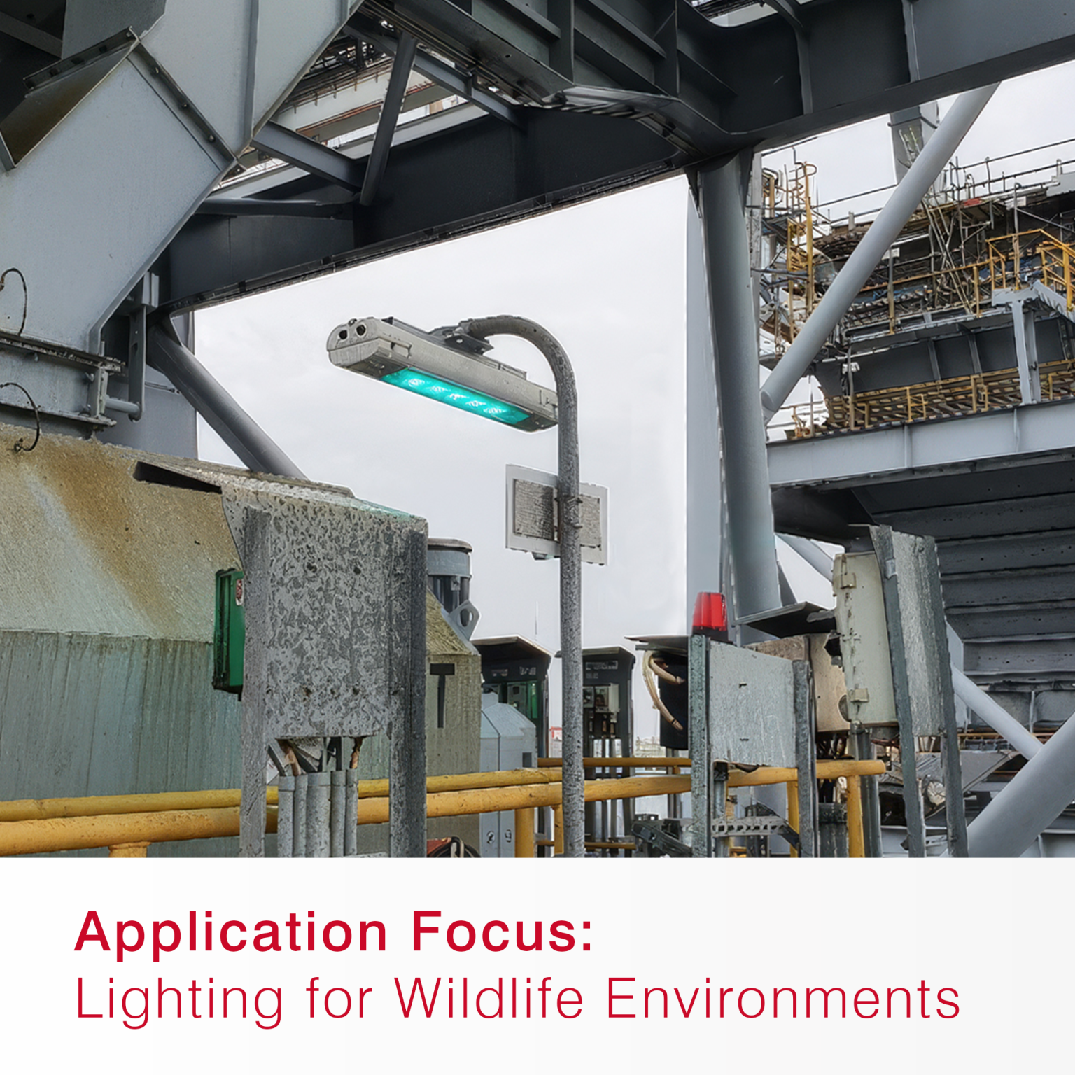 Raytec | Hazardous Area, Industrial, Transport & Security Lighting